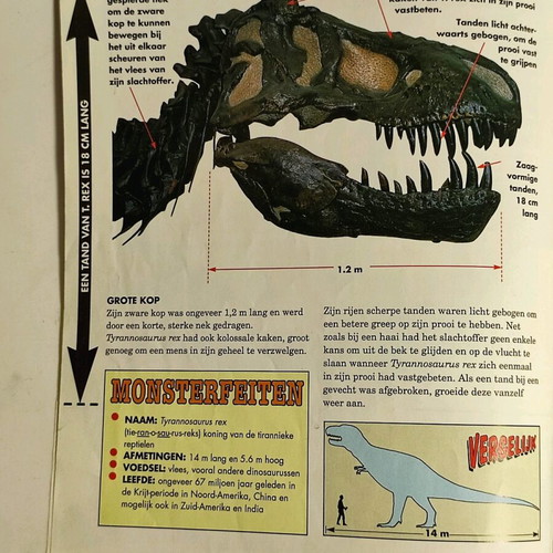 Dinosaurus No.1 DeAgostini 1993 used vintage without cover
