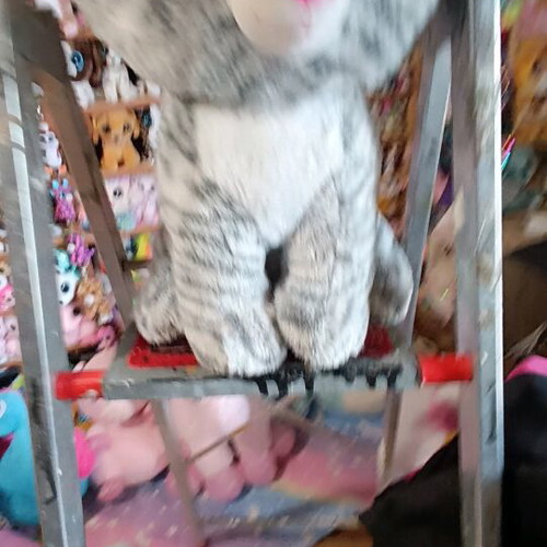 Big plush TY like new