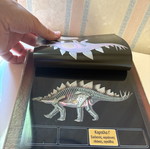 Dinosaur anatomy table used