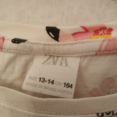 Zara Flamingo Crop Top T-shirt, size XS