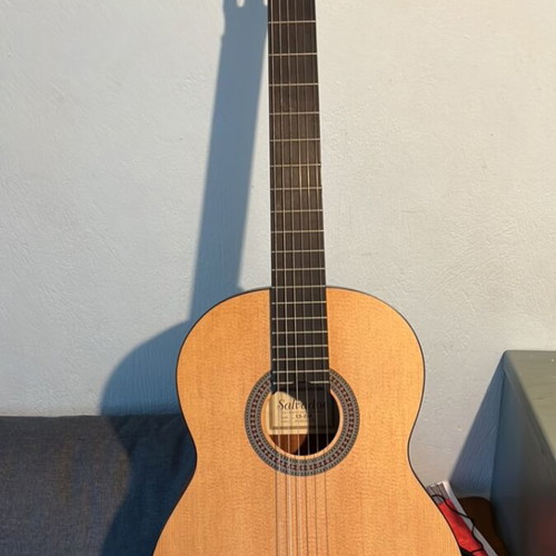 Salvador CS-244 Guitar with Thomann Case new