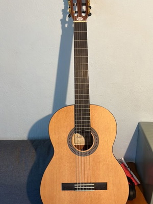 Salvador CS-244 Guitar with Thomann Case new