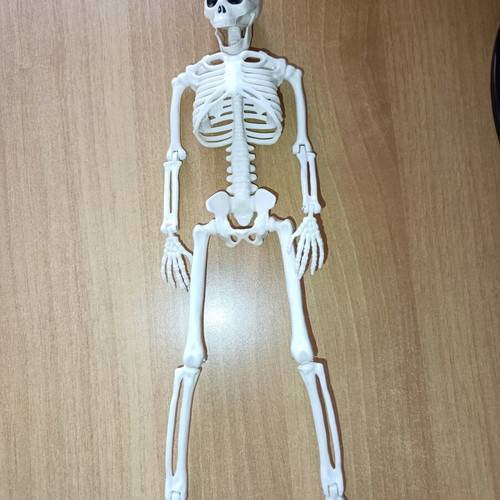 Skeleton Pendant souvenir for Halloween new with movable joints