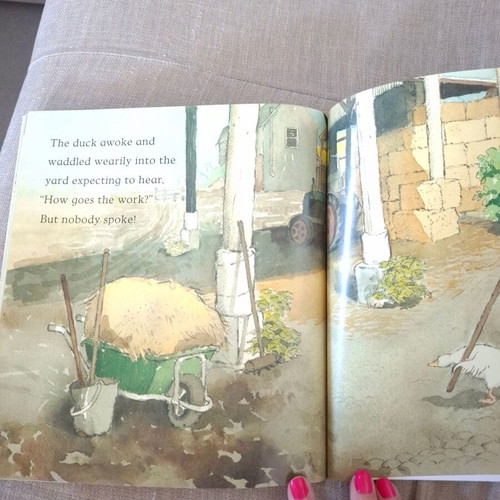 Farmer Duck book like new