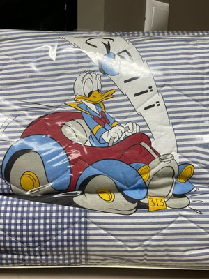 Single quilt 100% cotton new