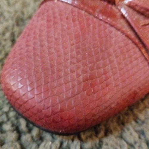 Women's shoes new burgundy size 41