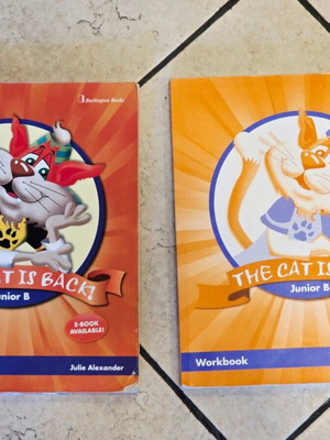 Junior B The Cat Is Back English books set of 2