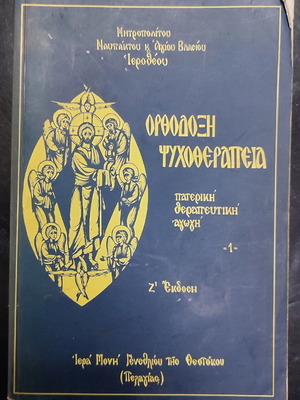 Orthodox Psychotherapy book