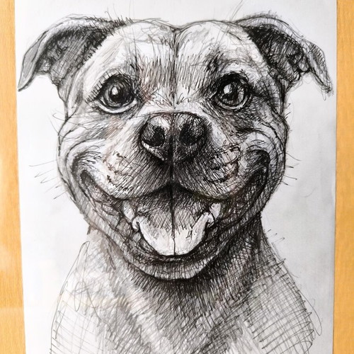 Handmade Art Smiling Staffordshire Bull Terrier Dog in Frame like new