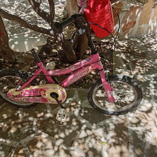 Children's bicycle with training wheels
