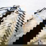 Δερμάτινο μπουφάν μηχανής ZARA Medium