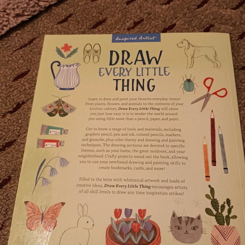 Draw Every Little Thing book like new, hobby