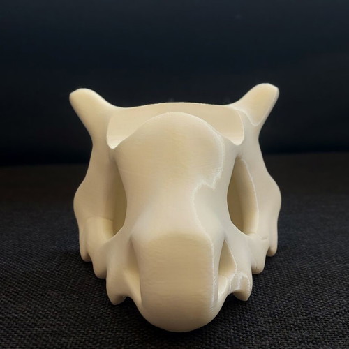 PS5 Controller Stand 3D Printed Skull Design New