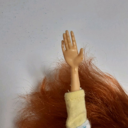 Winx Bloom doll used with wear