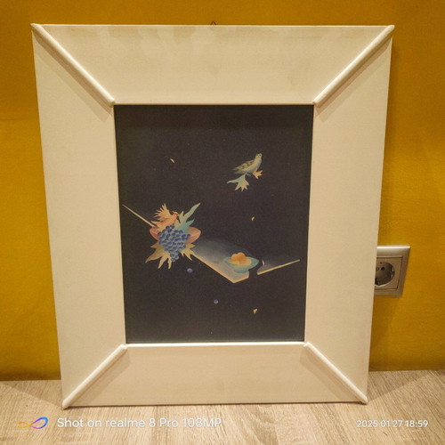 Wall frame used 50x45 cm with plexiglass cover