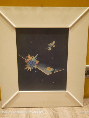 Wall frame used 50x45 cm with plexiglass cover