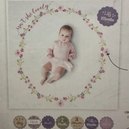 Baby's First Year Blanket and Cards Set like new, Lulujo, girl