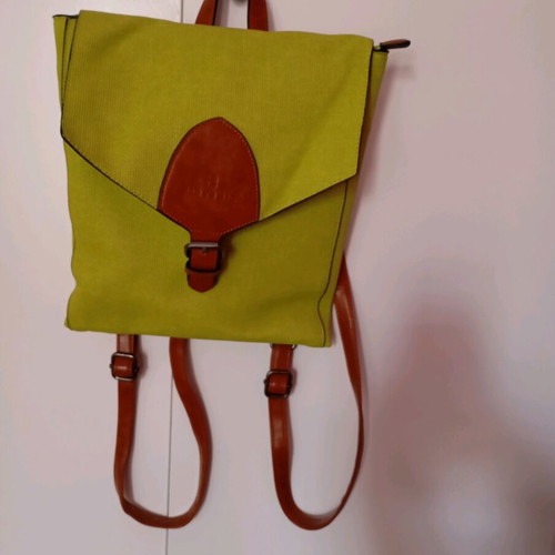 Bag to Bag Backpack Green Like New