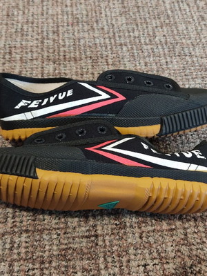 ΠΑΠΟΥΤΣΙΑ ΠΑΡΚΟΥΡ Feiyue FE LO No 34