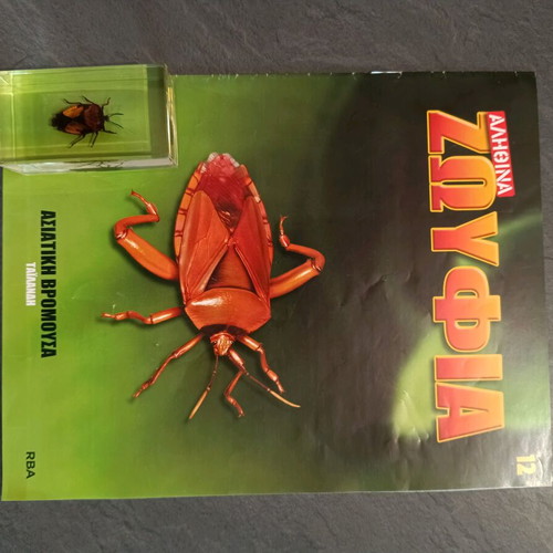 Real insects issue 12 used