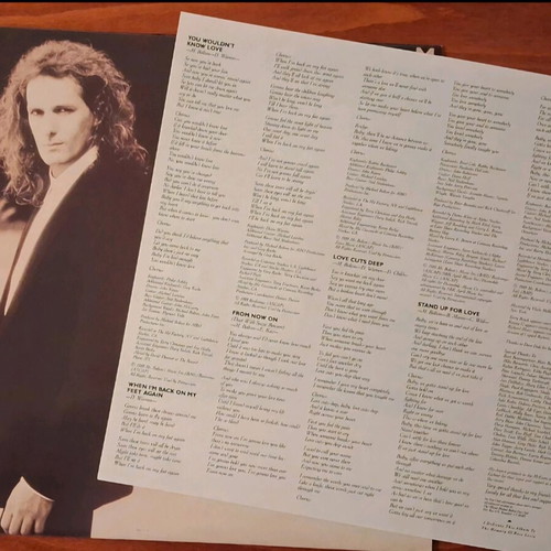 Michael Bolton Soul Provider record used, Greek pressing 1989