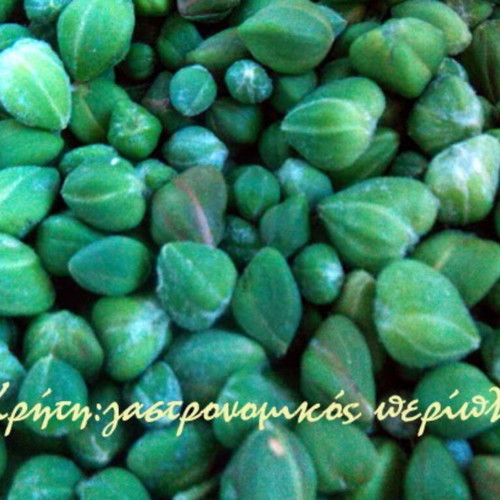 Capers Chiou 1 kilo