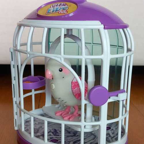 Talking Parrot toy like new with lockable cage
