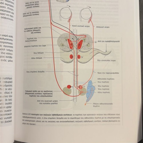 Duus’ Diagnostic Localization in Neurology book new