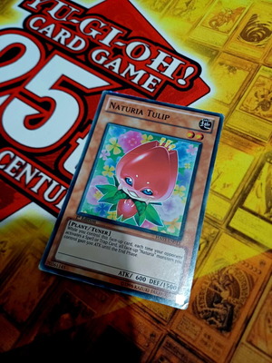Naturia Tulip HA03 Super Rare 1st Edition κάρτα Yu-Gi-Oh!