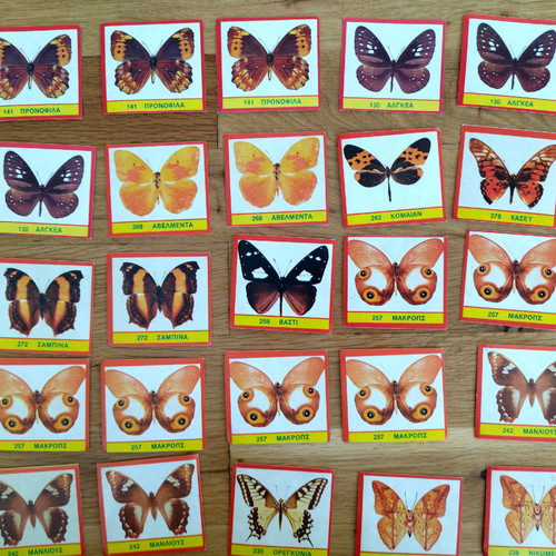 CAROUSEL BUTTERFLIES