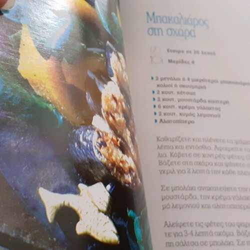 Cookbook new 266 pages