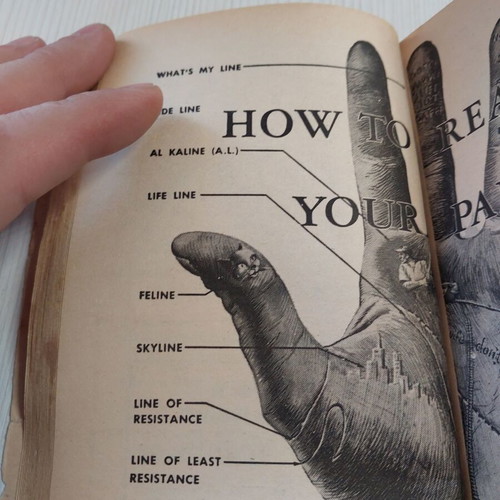 The Ides Of Mad used foreign language book