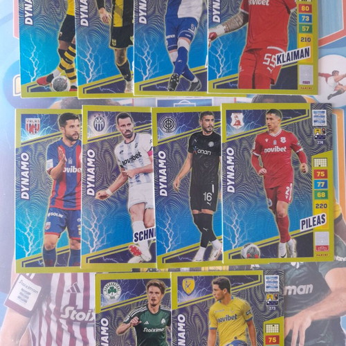Superleague Panini 10 Dynamo cards