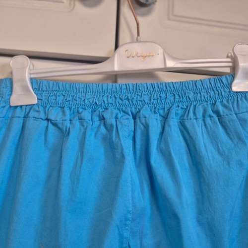 A.L.E. turquoise pants size Large new with belt