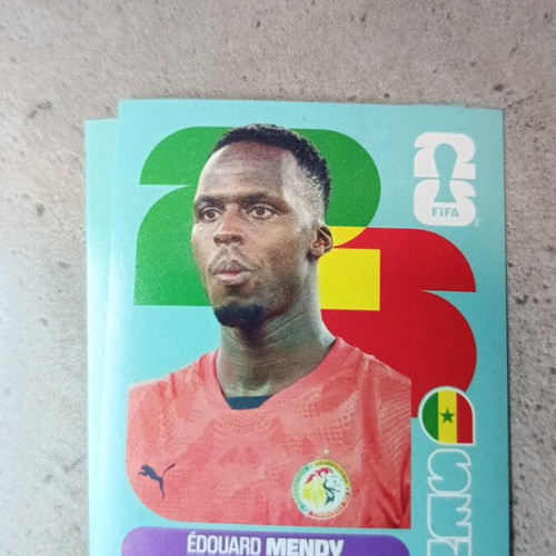 Panini FIFA World Cup 2026 sticker like new