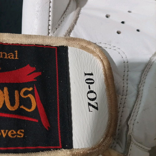 Olympus boxing gloves like new