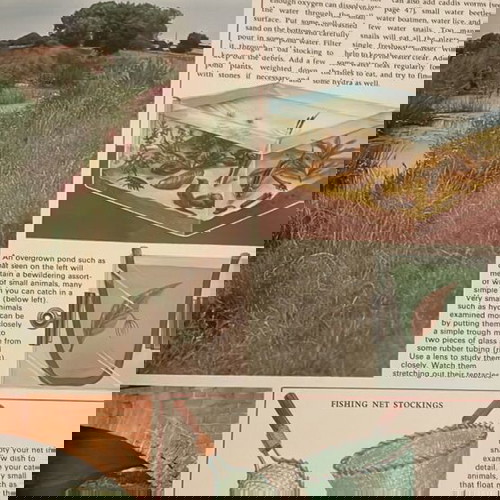 Βιβλίο Purnell's Nature All Around καινούργιο, αγγλικό για τη φύση