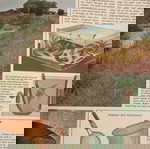 Βιβλίο Purnell's Nature All Around καινούργιο, αγγλικό για τη φύση