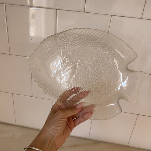 Glass fish plates like new