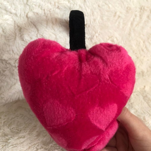 Ear accessories used