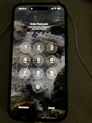 iPhone 17 Pro Max 256 GB like new, blue, Apple iOS