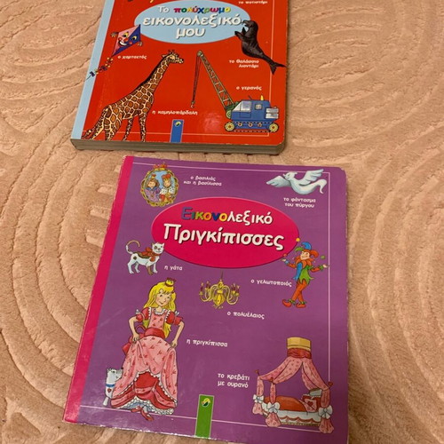 Picture dictionaries like new, 2 books together
