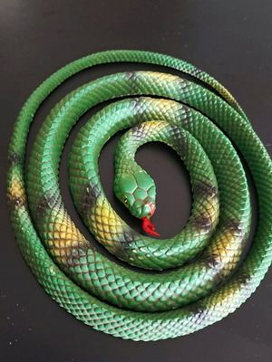 Green rubber snake used, garden guardian and prank master