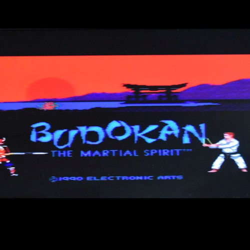 Budokan: The Martial Spirit Sega Mega Drive game used
