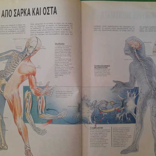 Larousse Children's Encyclopedia used, Greek language