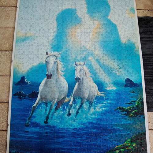 Puzzle set of 2 framed 1000-piece puzzles by Heye, like new