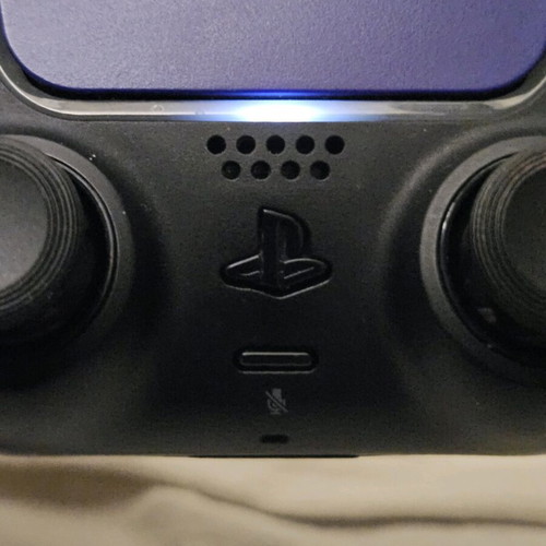 Mute Button for Sony DualSense PS5 New Tinted