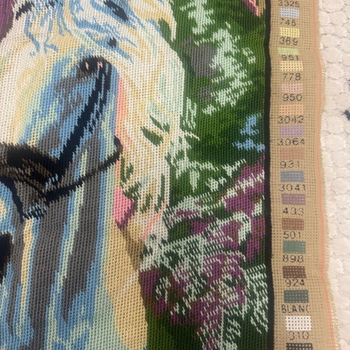 Embroidery with Woman on Horse like new 60x80