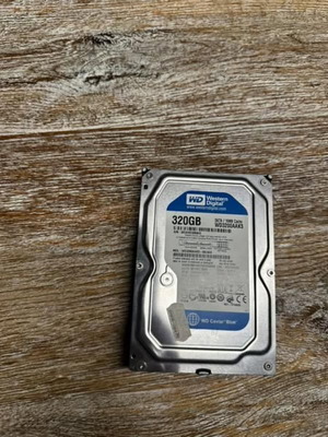 Western Digital Caviar Blue 320GB SATA Използван Твърд Диск