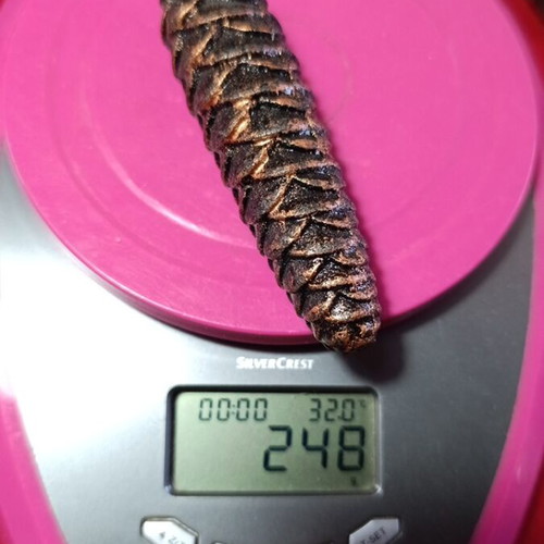 Vintage weights for cuckoo clocks, new, 248g each